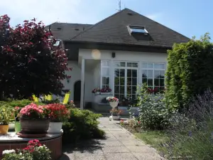 Homestay Svatá
