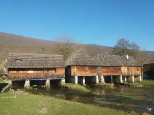 Apartmani "Marina"