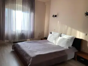 호텔 임페리얼 티미쇼아라