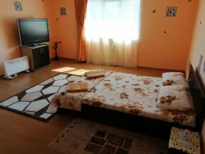 Vila la Izvorul Putinei
