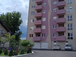Apartment Eight - Pirot