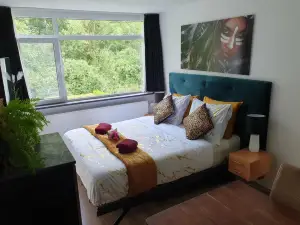 B&B Immerloopark