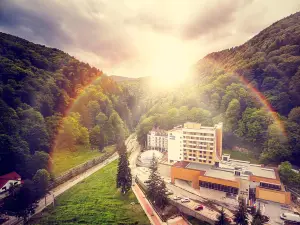 호텔 페를라 슬라니크 몰도바