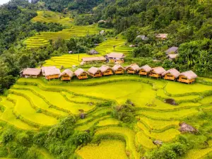 Hoàng Su Phì Lodge