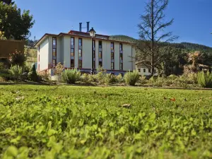 Hotel Balneario Areatza Nº 01224