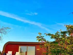 The Pod & Cwtch Luxury Accommodation