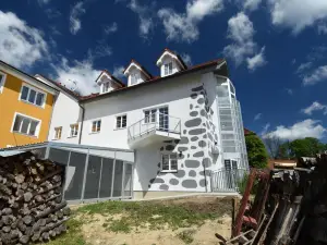 Apartments Otre Frymburk
