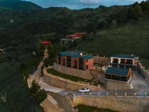 Lazivilla Suit Dağ Evi