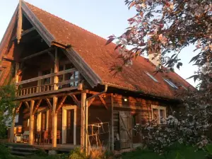 Stara Szkoła Architekci