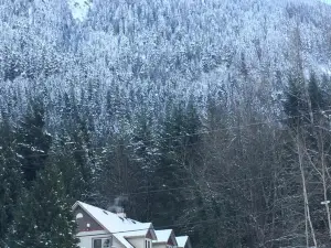 Evergreen Bed & Breakfast