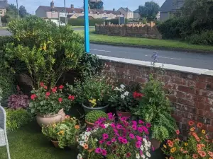 The Bridges B&B