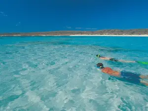 SAL Salis Ningaloo Reef