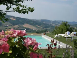 Il Colombarone