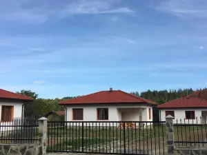 Complex Balkandzhii