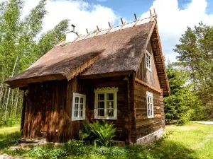 Vabalynė
