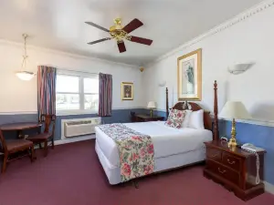 더 블루 헤런 인