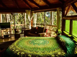 Cabanas Curi-Huapi