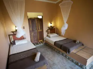 Sasa Safari Camp & Tours