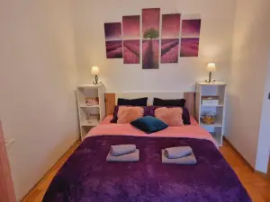 Skitnica House Sobe