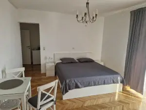 Vila Lidus