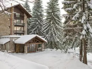 Ana Hotels Bradul Poiana Brasov