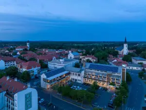Hotel Bodrog Wellness & Elix Spa