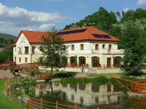Aranybanya Hotel