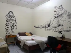 Matagalpa Tours Guest House