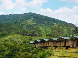 Wild Glamping Knuckles - Thema Collection
