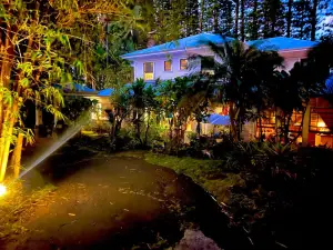 Specialty Vibrant Hawi Guest House