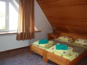 Zīriņi