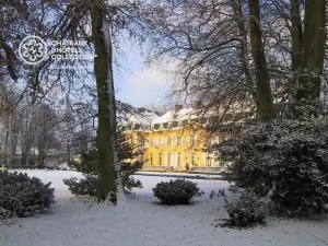 Chateau de Sissi