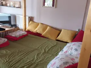 Apartmani sa Pogledom na Dunav - Akademik