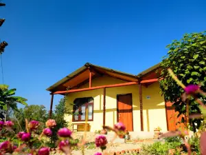 Nature Safari Resort
