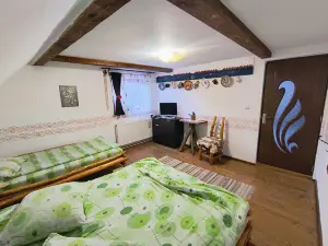 Casa de Vacanta Vidrighin