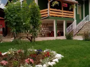 Guest House Vila Banjica