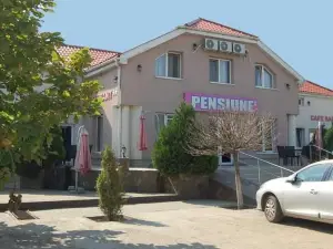 Pensiunea Rodica