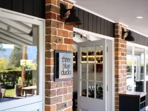 The Lodge Bellingen