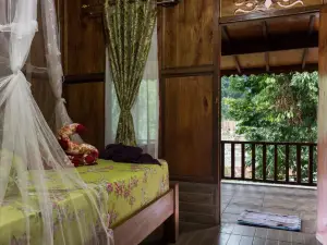 Rain Forest Guest House and Jungle Trekking