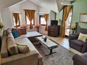 Apartment Stasha with Free Access to Gym