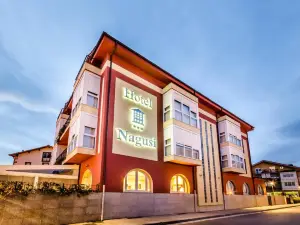 Hotel Nagusi