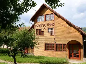 Pensiunea Flori de Camp