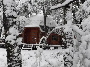 Domos Entre Bosques