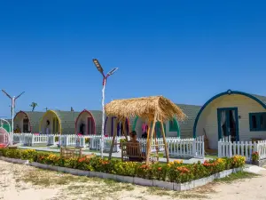 Phi Kite School