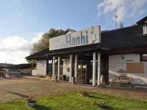 Hotel Hanhi