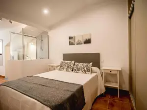Apartamentos Al Paso de Toledo, Puy du Fou a 10km