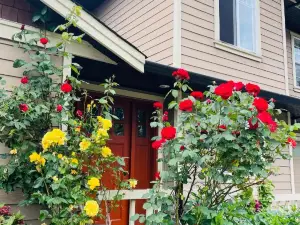 Garden Home in Victoria -Beautiful Home in Victoria