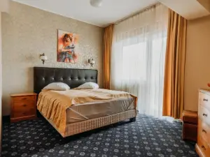 Hotel Coandi