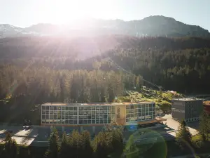 倫策海德瑞維爾山小屋旅館