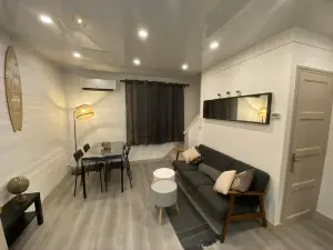 Le Pasteur Duplex Confort Centre Ville